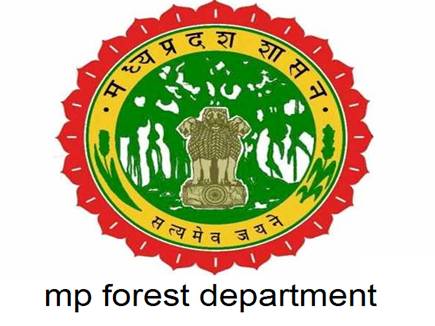 forest_department_mp_02_05_2017