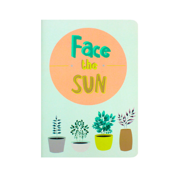 Face The Sun Diary From Pin it Up